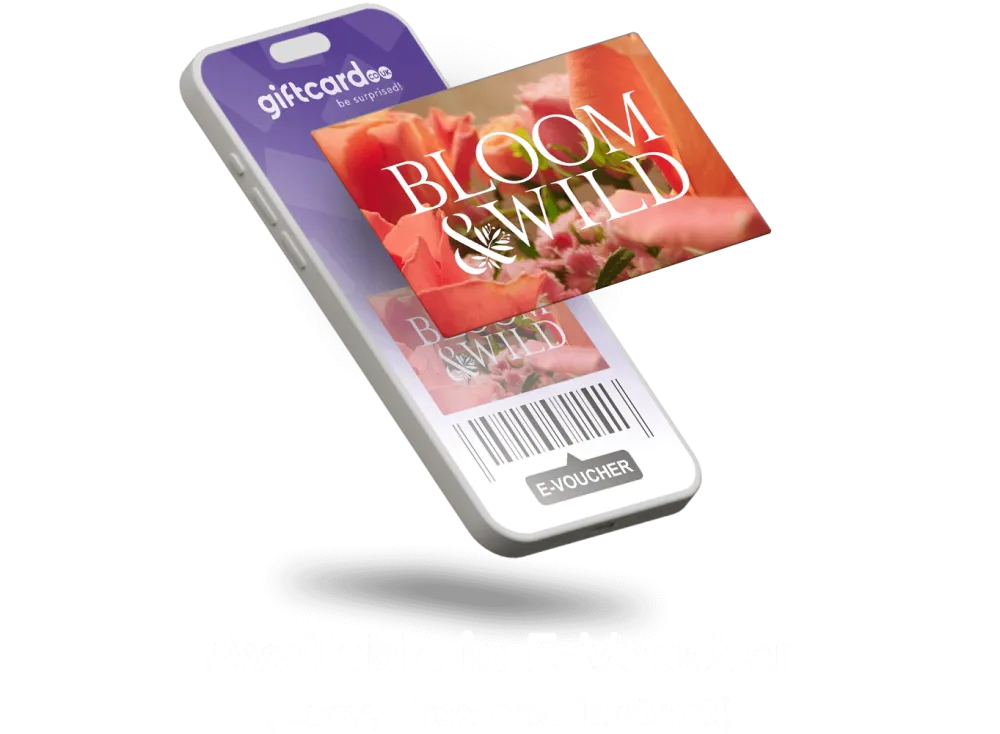 bloom voucher