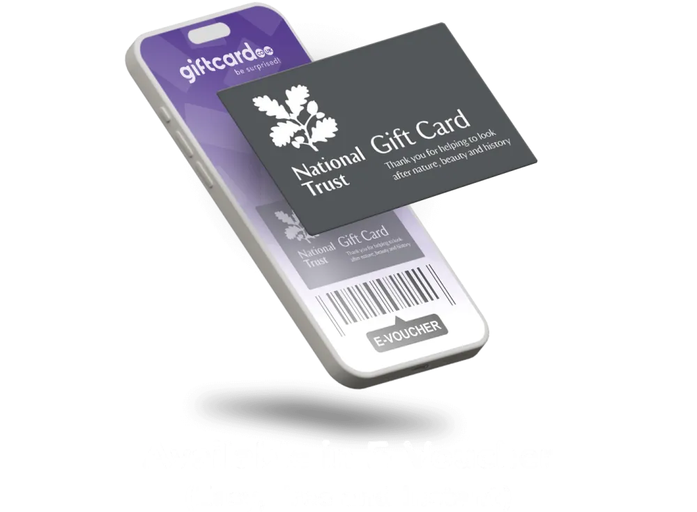 evoucher